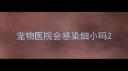 宠物医院会感染细小吗