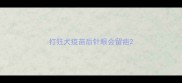打狂犬疫苗后针眼会留疤