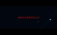 狗狗总在窝里尿怎么办
