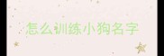 怎么训练小狗名字