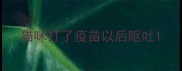 猫咪打了疫苗以后呕吐