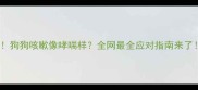 救命狗狗咳嗽像哮喘样全网最全应对指南来了