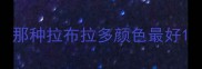 那种拉布拉多颜色最好