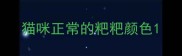 猫咪正常的粑粑颜色