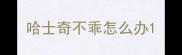 哈士奇不乖怎么办