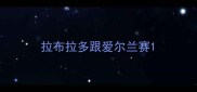 拉布拉多跟爱尔兰赛