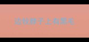 边牧脖子上有黑毛
