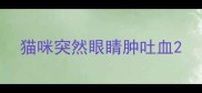 猫咪突然眼睛肿吐血