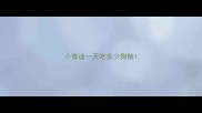 小泰迪一天吃多少狗粮