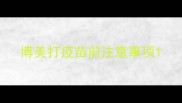 博美打疫苗前注意事项