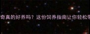 成年哈士奇真的好养吗这份饲养指南让你轻松带回家