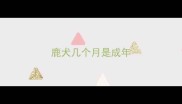 鹿犬几个月是成年