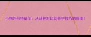 小狗外形特征全从品种对比到养护技巧的指南