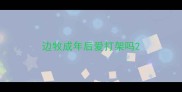 边牧成年后爱打架吗