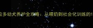 新手必看拉布拉多幼犬养护全攻略从喂奶到社会化训练的120天成长手册