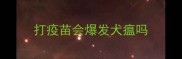 打疫苗会爆发犬瘟吗