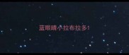 蓝眼睛小拉布拉多