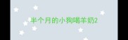半个月的小狗喝羊奶