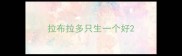 拉布拉多只生一个好
