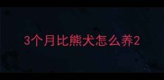 3个月比熊犬怎么养