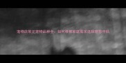 宠物店常见宠物品种全如何根据家庭需求选择理想伴侣