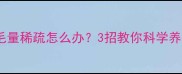 金毛剃毛后毛量稀疏怎么办3招教你科学养毛恢复浓密