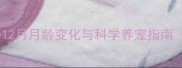 狗狗成长发育全记录0-12月月龄变化与科学养宠指南附喂养训练健康要点