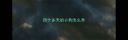 四十多天的小狗怎么养