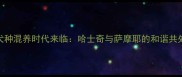 双犬种混养时代来临哈士奇与萨摩耶的和谐共处全