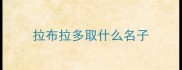 拉布拉多取什么名子