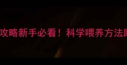 40天泰迪喂养全攻略新手必看科学喂养方法助泰迪健康发育