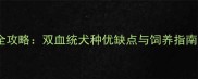 泰迪腊肠混血犬培育全攻略双血统犬种优缺点与饲养指南附品种特征图解
