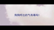 狗狗呼出的气有毒吗