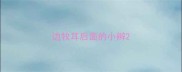 边牧耳后面的小辫