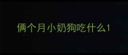 俩个月小奶狗吃什么
