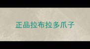 正品拉布拉多爪子