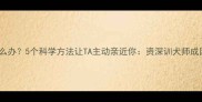 狗狗不理人怎么办5个科学方法让TA主动亲近你资深训犬师成因与解决方案