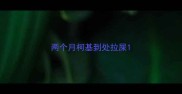两个月柯基到处拉屎