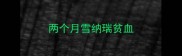 两个月雪纳瑞贫血