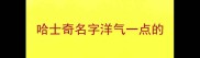 哈士奇名字洋气一点的