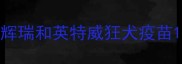 辉瑞和英特威狂犬疫苗