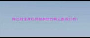 狗注射疫苗后局部肿胀的常见原因分析