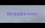 狗打疫苗要多长时间