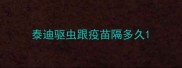 泰迪驱虫跟疫苗隔多久