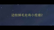 边牧掉毛处有小疙瘩