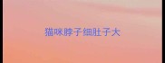 猫咪脖子细肚子大