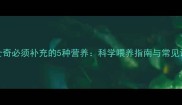 哈士奇必须补充的5种营养科学喂养指南与常见误区