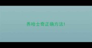 养哈士奇正确方法