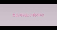 怎么可以让小狗不叫
