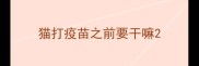 猫打疫苗之前要干嘛